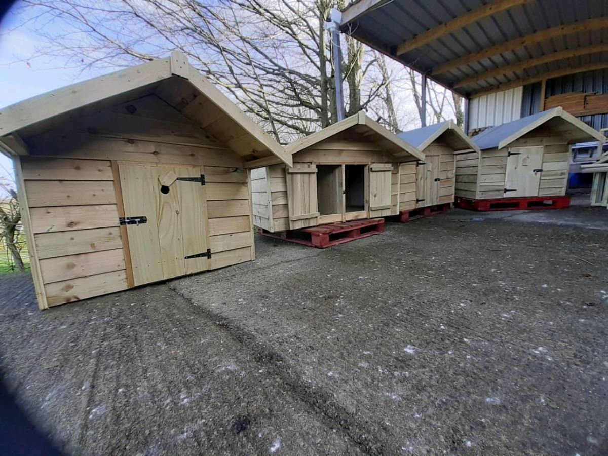 Dog kennels for shop sale done deal