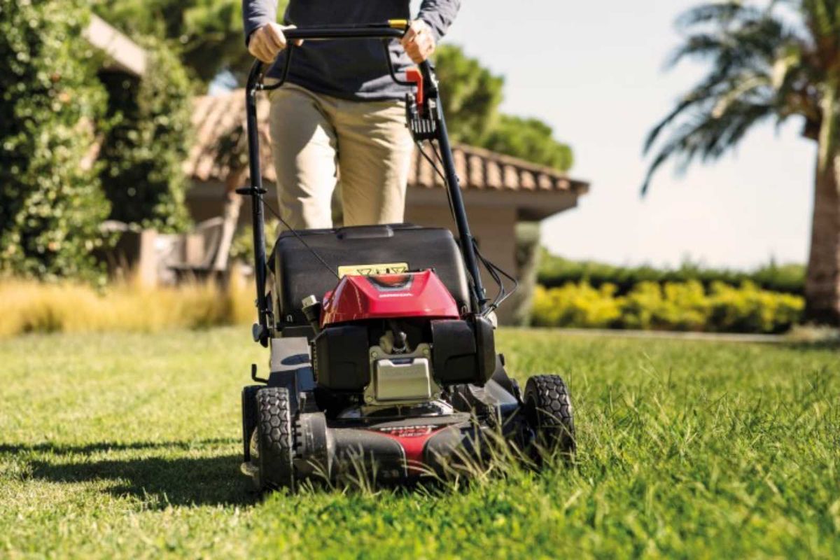 Honda lawn mower best sale for sale done deal