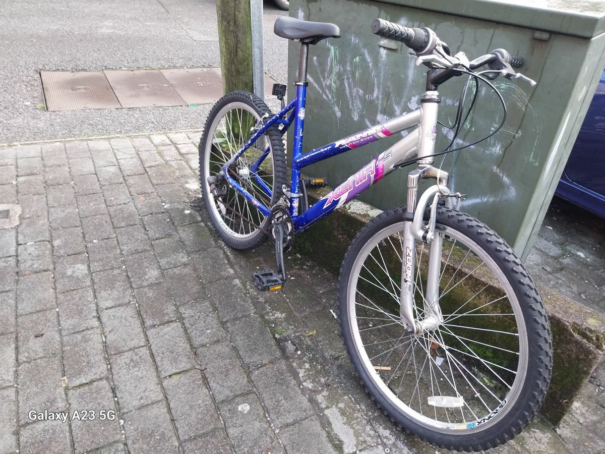 planet x ladies bikes