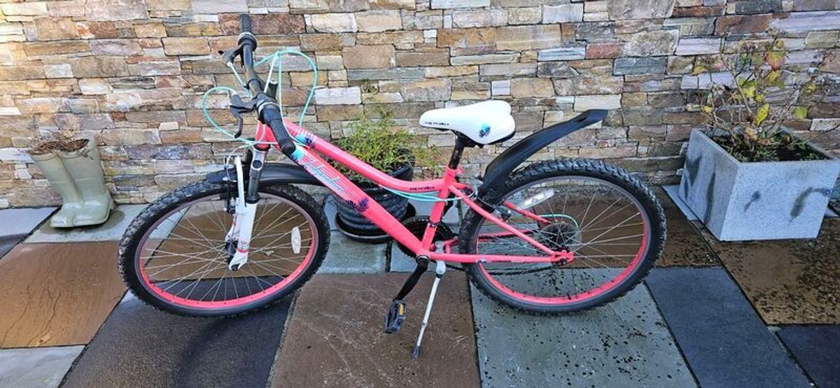 Apollo independence junior mountain bike hotsell
