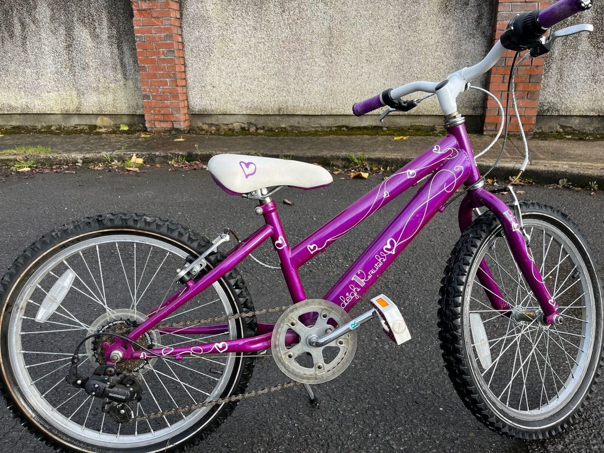 Girls Bike Raleigh Krush for sale in Co. Kildare for 100 on DoneDeal