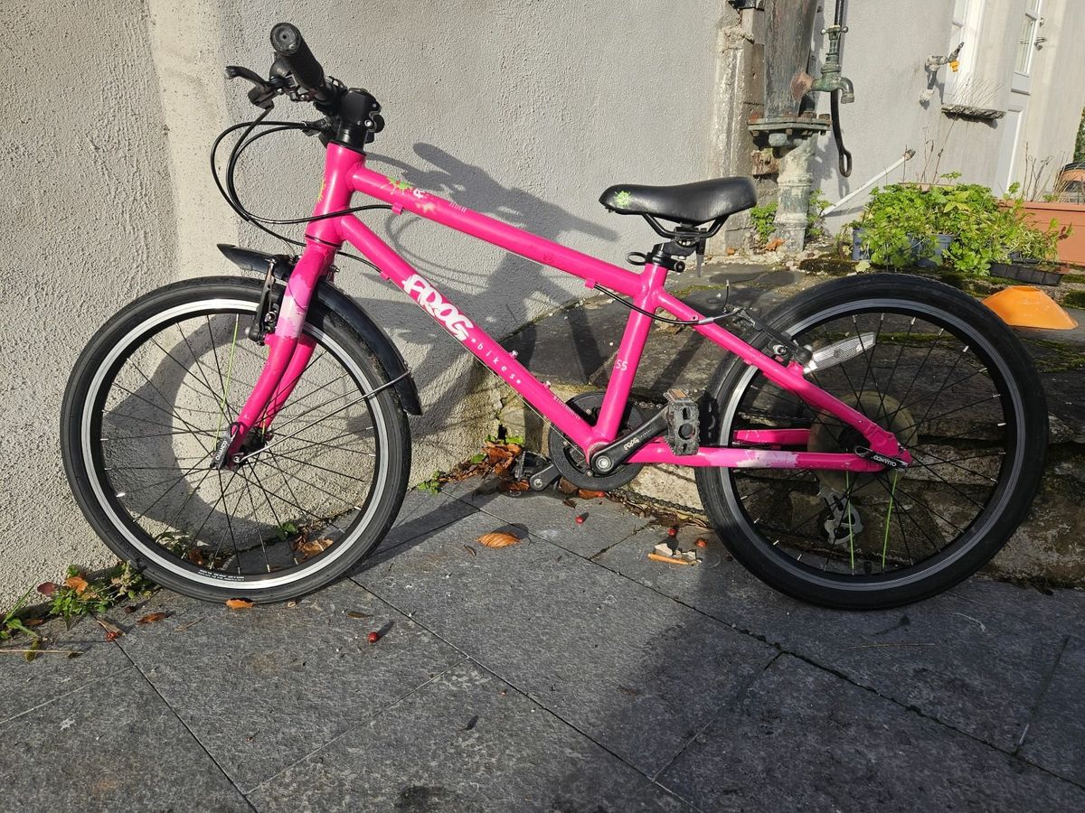 Frog bike 2024 55 pink