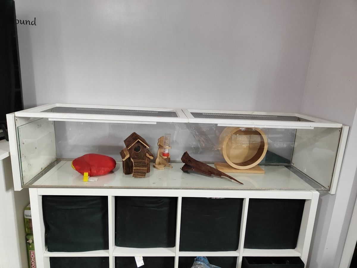 Bookshelf hamster outlet cage