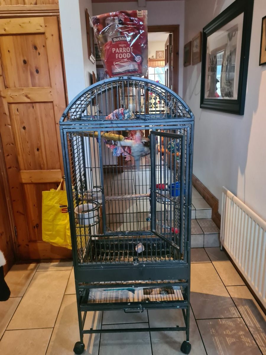 Online bird sale cages for sale