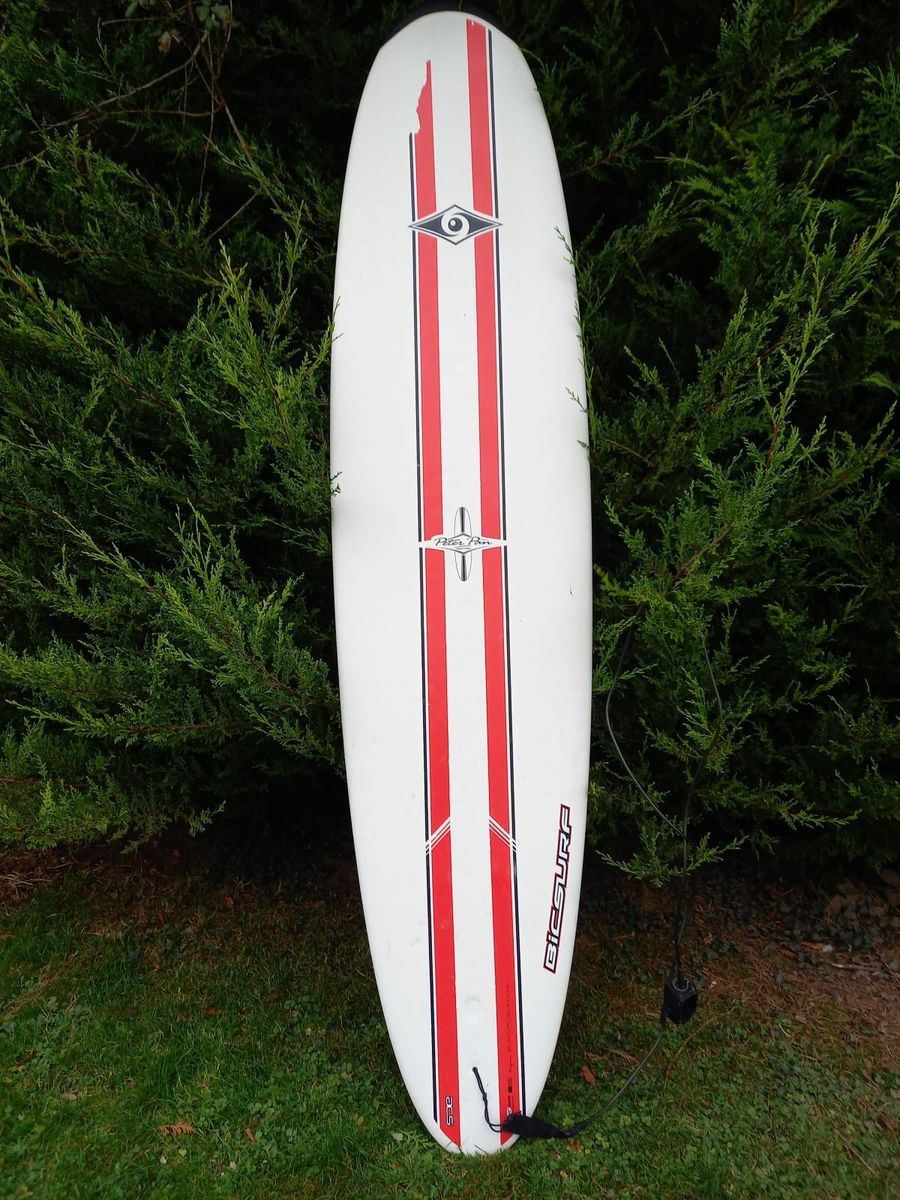 Bic longboard on sale for sale