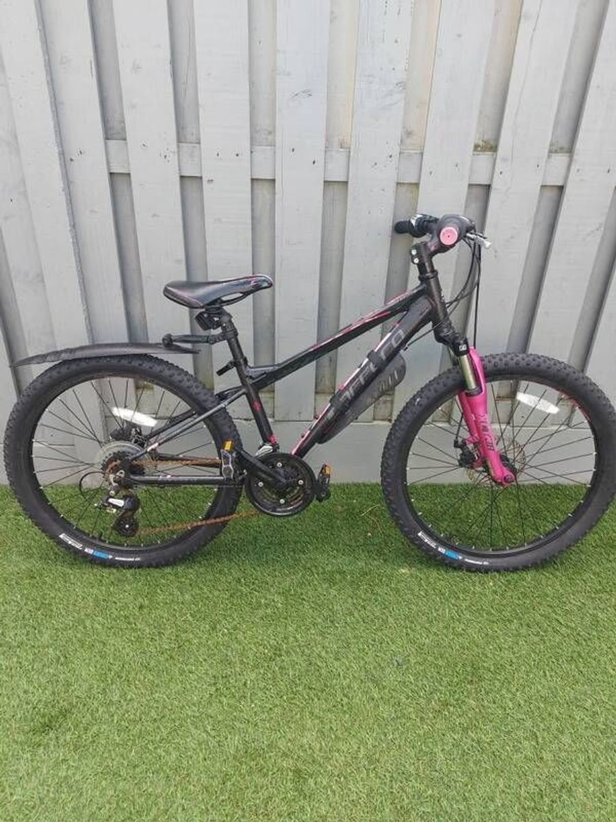 Girls Carrera Mountain Bike for sale in Co. Dublin for 200 on