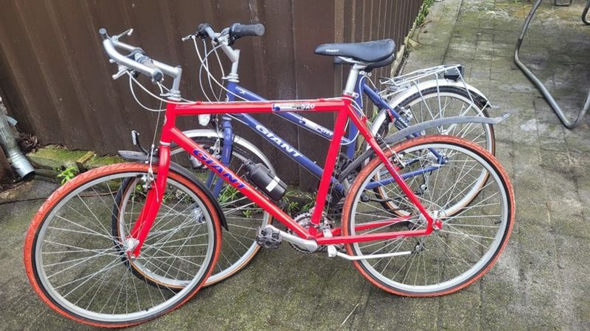 Done deal best sale push bikes