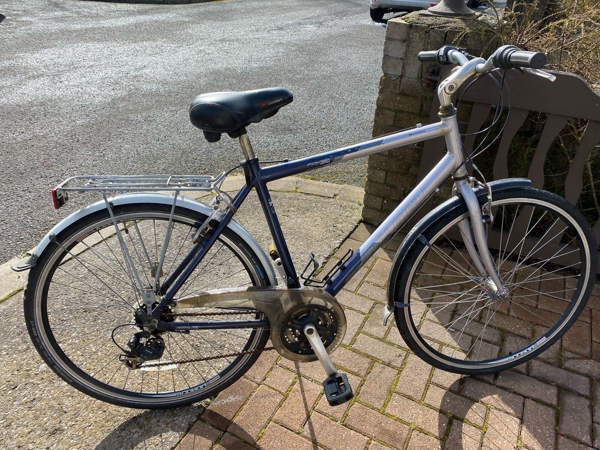 Raleigh pioneer cheap metro lx