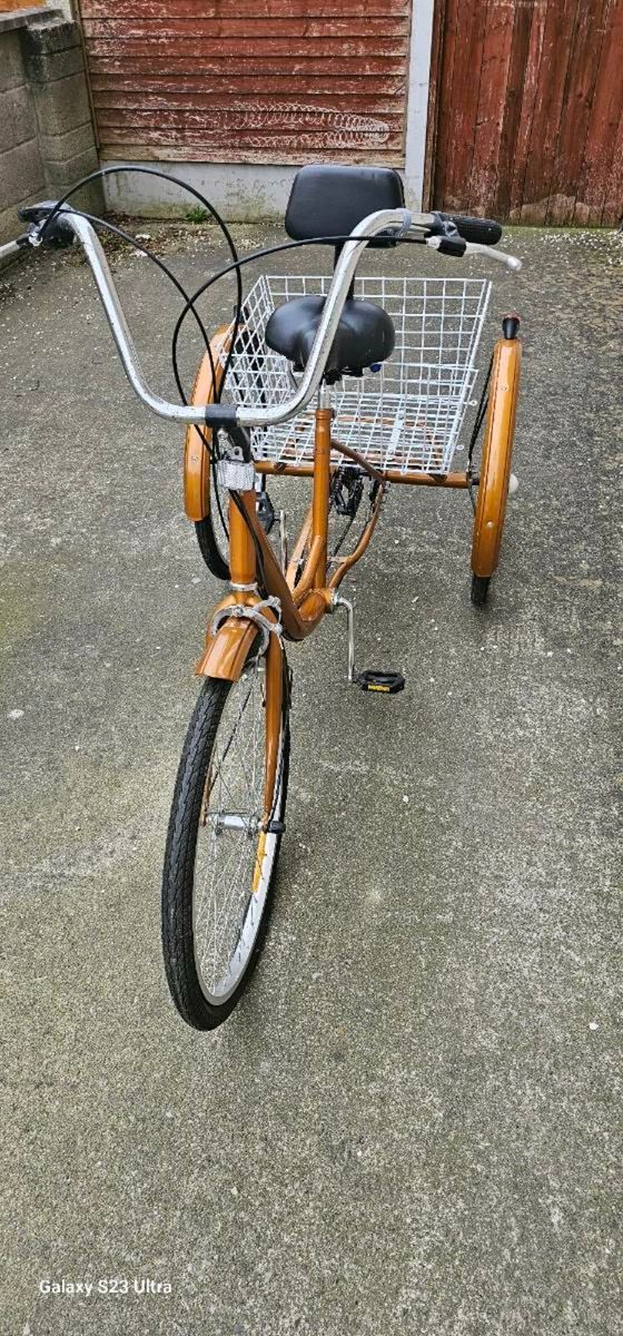 Vintage sales adult tricycle