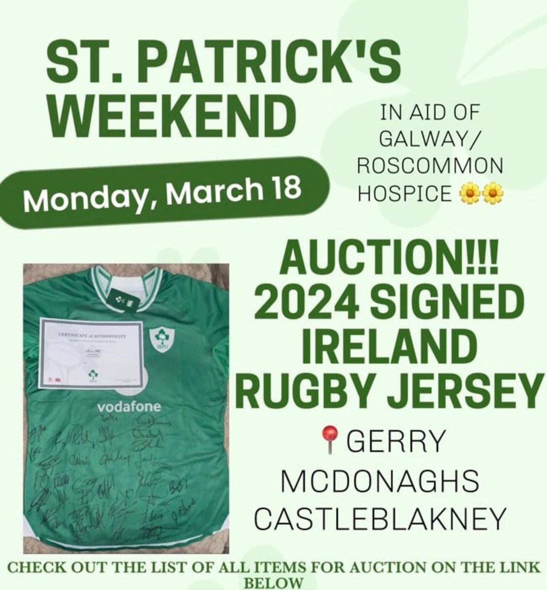 Signed irish rugby store jersey