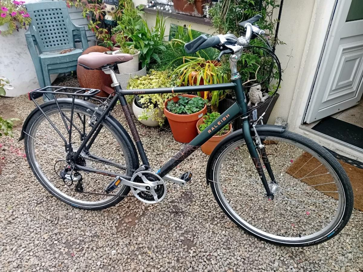 Raleigh pioneer bike for sale sale