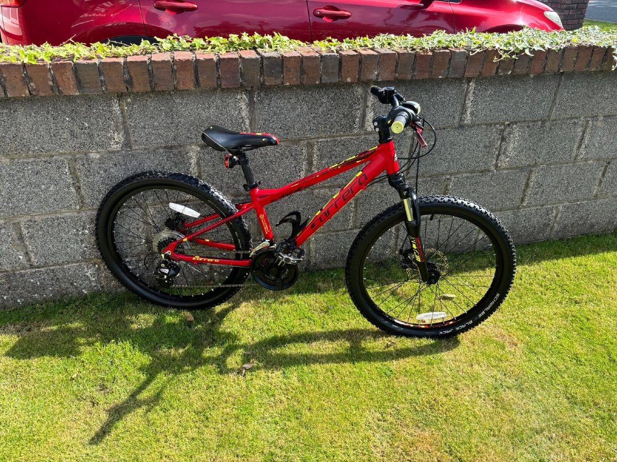 Carrera junior mountain bike 24 for sale in Co. Meath for 160 on DoneDeal