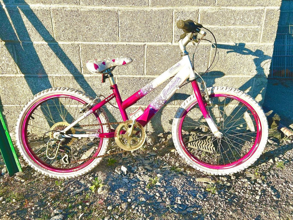 girls bike raleigh 6 All Sections Ads For Sale in Ireland DoneDeal