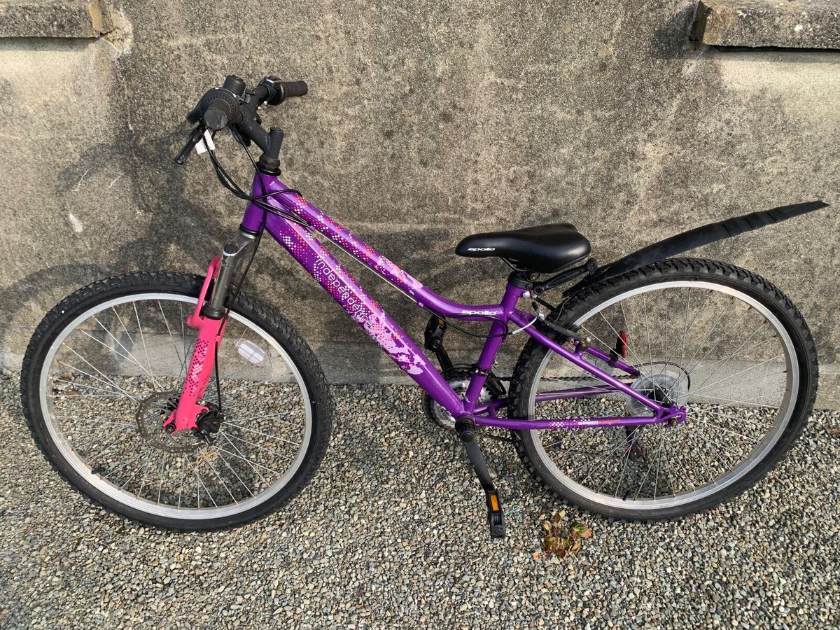 Apollo independence junior mountain bike best sale