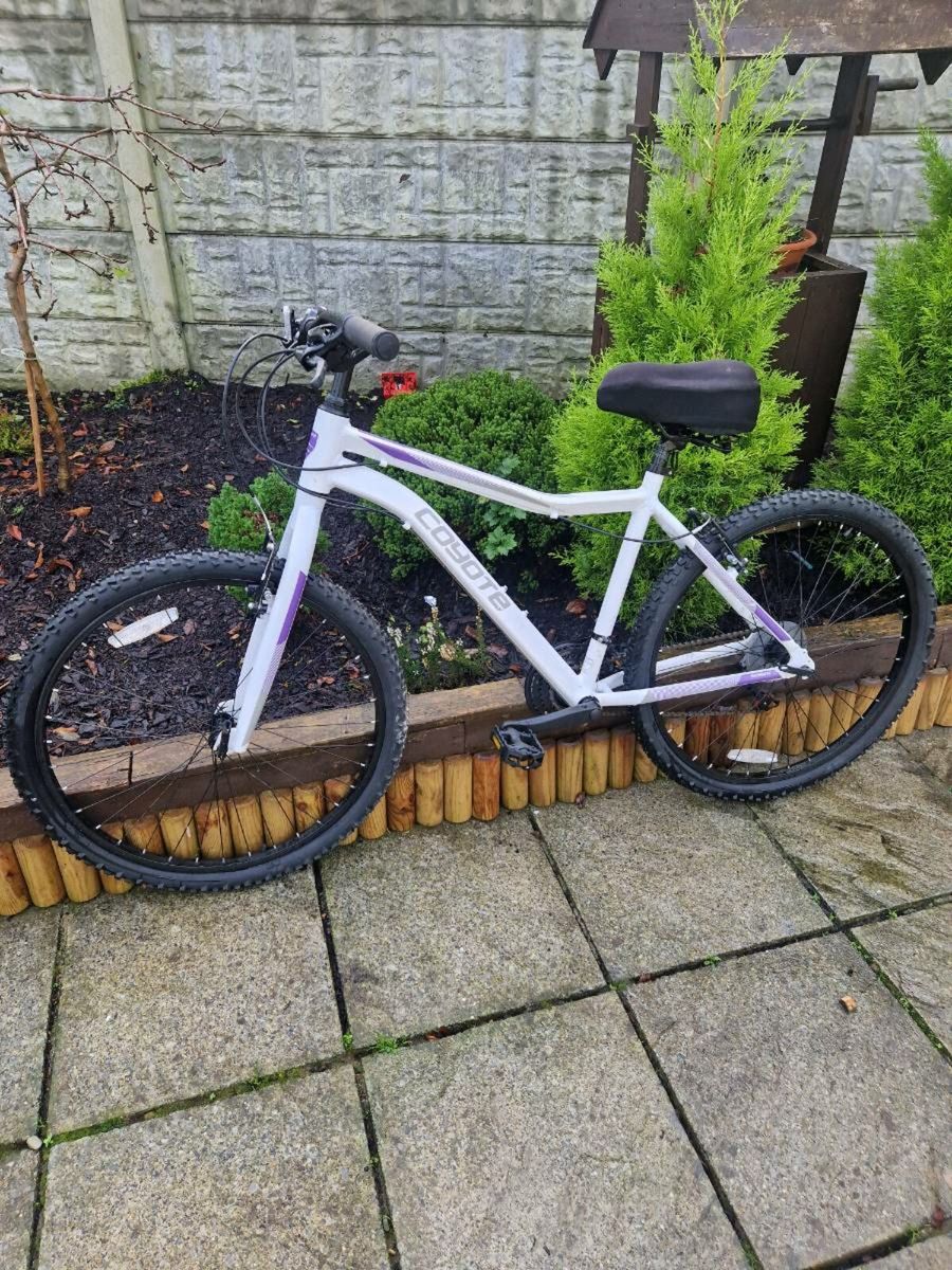 Coyote ladies mountain bike new arrivals