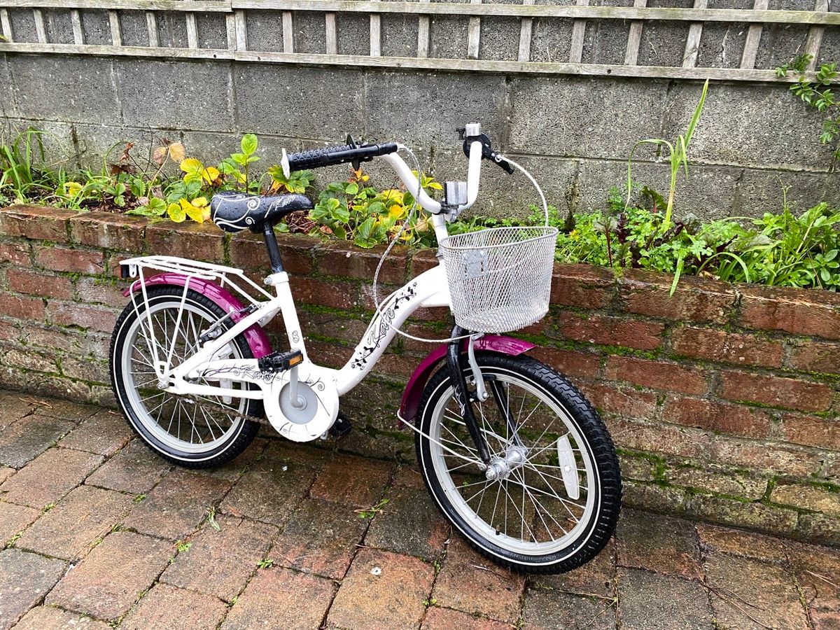 Womens raleigh bike with basket hotsell