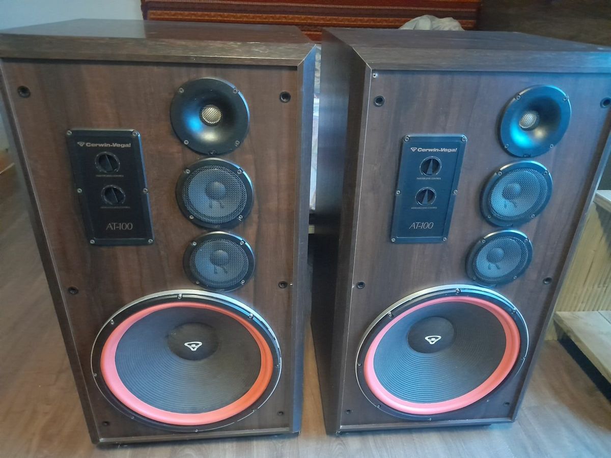Cerving Vega Speakers AT100 for sale in Mayo for €800 on DoneDeal