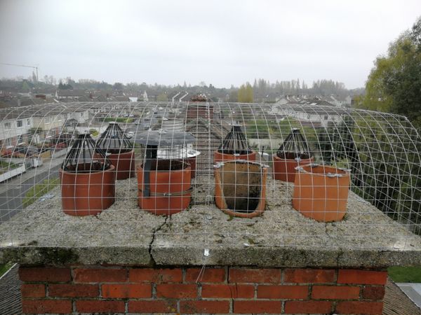 Ecologica Seagull Chimney Cages