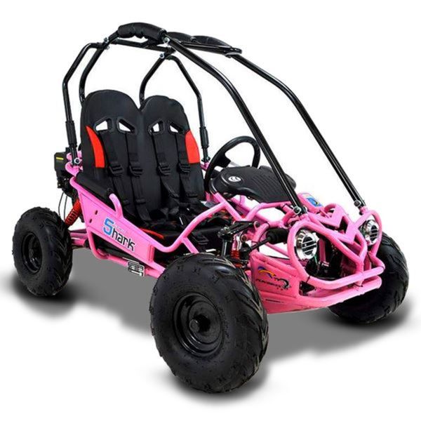 Mudrocks buggy sales