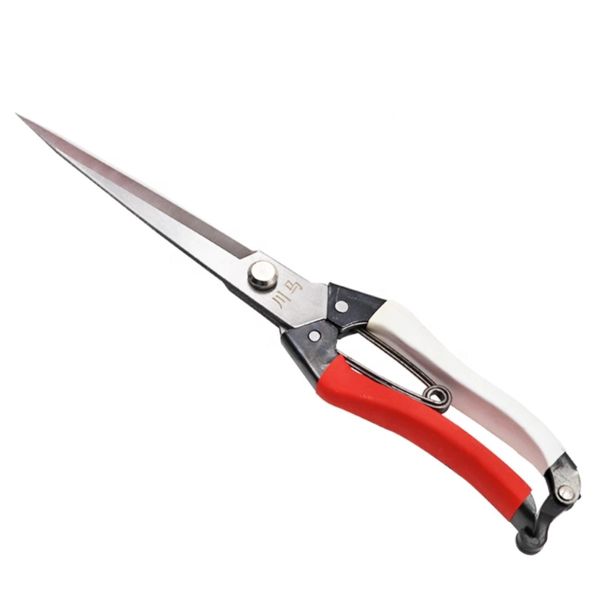 Tail udder clippers shears