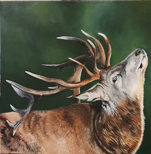 ,,The Young Stag" Original oil painting