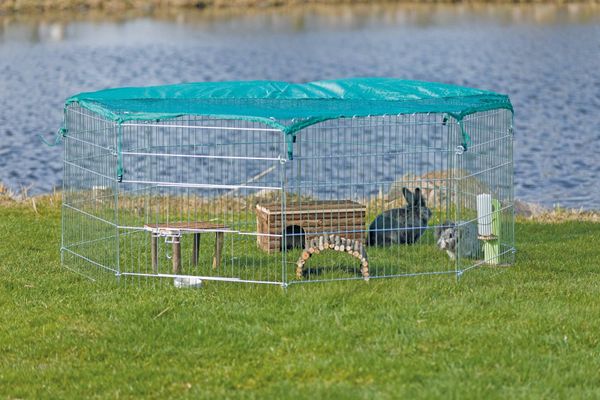 rabbits | 275 Animals Ads For Sale in Ireland | DoneDeal