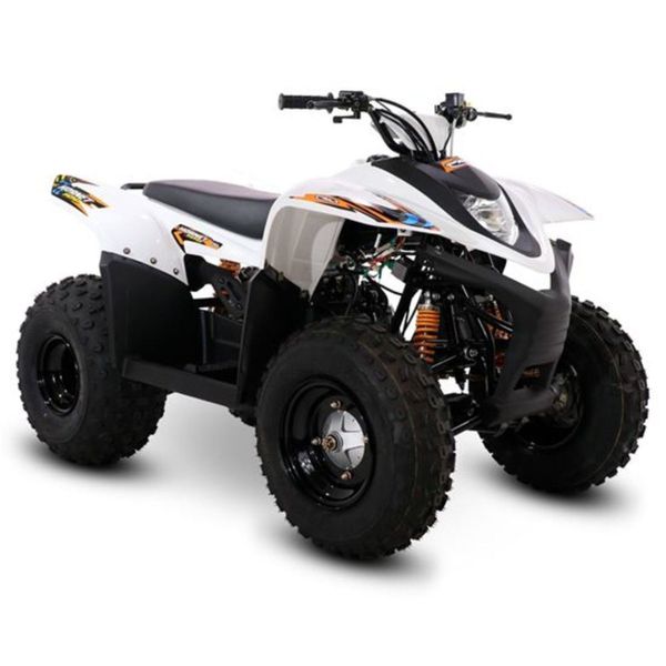 SMC HORNET 100 CC quad (2 year warranty/DELIVERY)