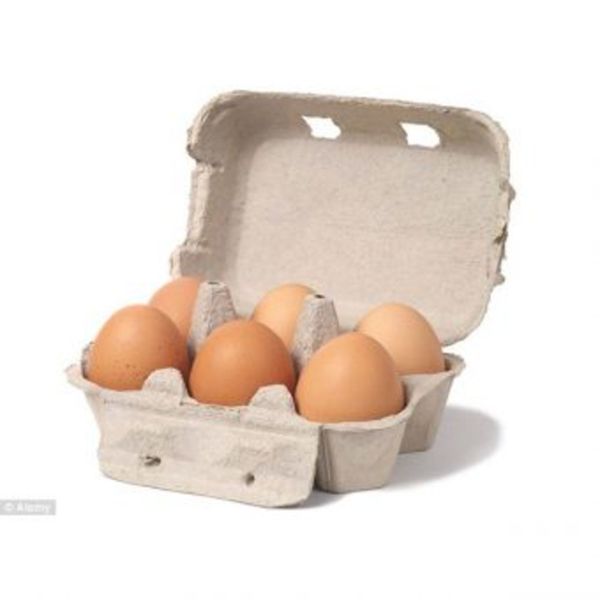 Egg Packaging - Nationwide Delivery