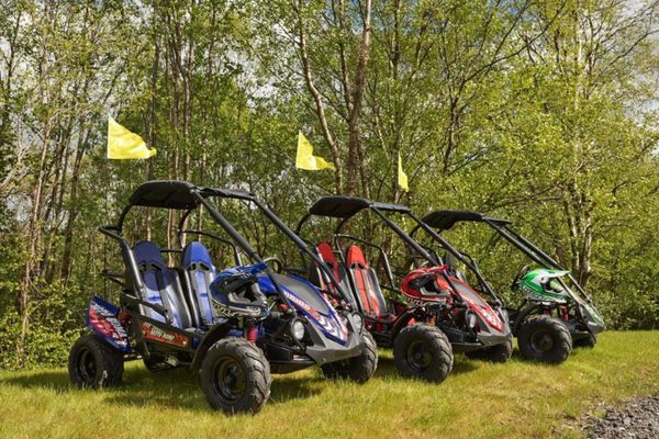 New Off Road Buggies with Reverse