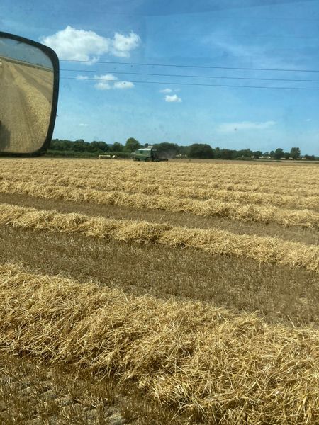 2022 Barley wheaten,Oaten straw, Hay