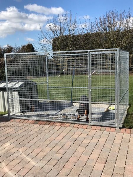Galvanised dog pens and cages