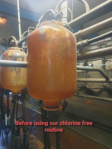 chlorine free detergent