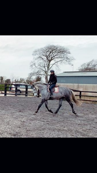 Competition, sales, schooling and livery