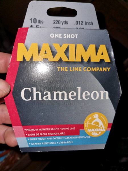 Maxima chameleon one shot line