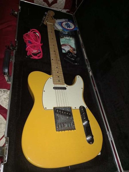 Indie Telecaster and case