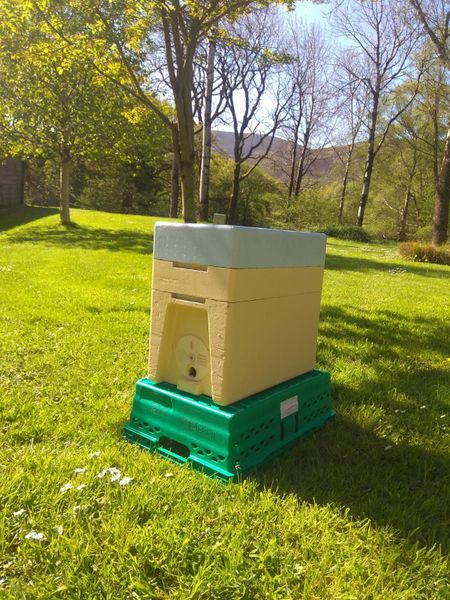 Bee hives and nucs