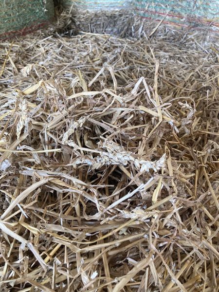 Top quality wheaten straw