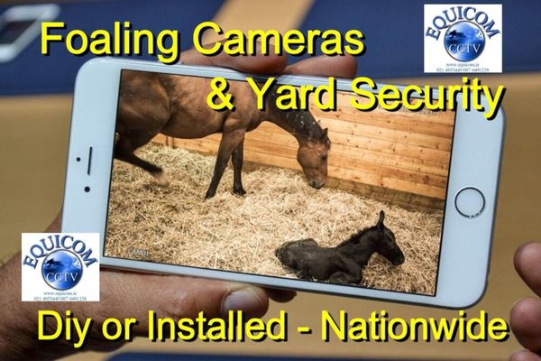 Foaling Cameras & Yard Security