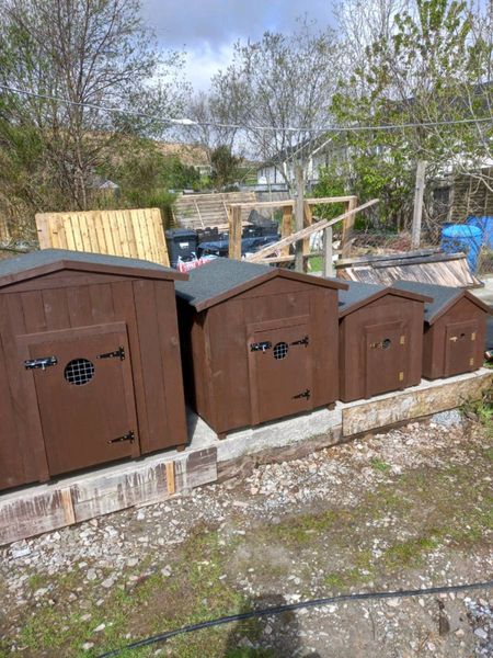 Dog kennels for clearance sale done deal