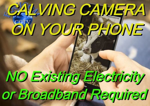 Calving Camera & Farm Security Cameras