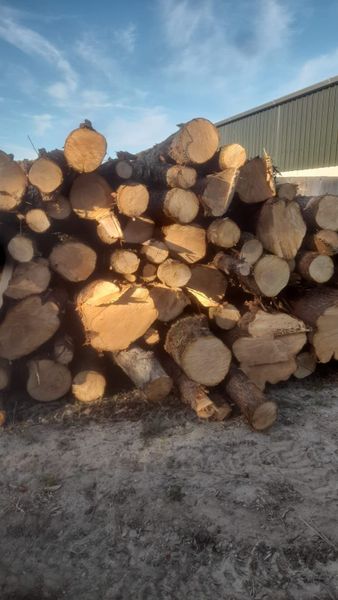 Timber For Sale