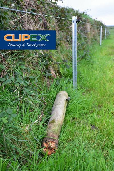 Clipex® Electric Fencing Bundle