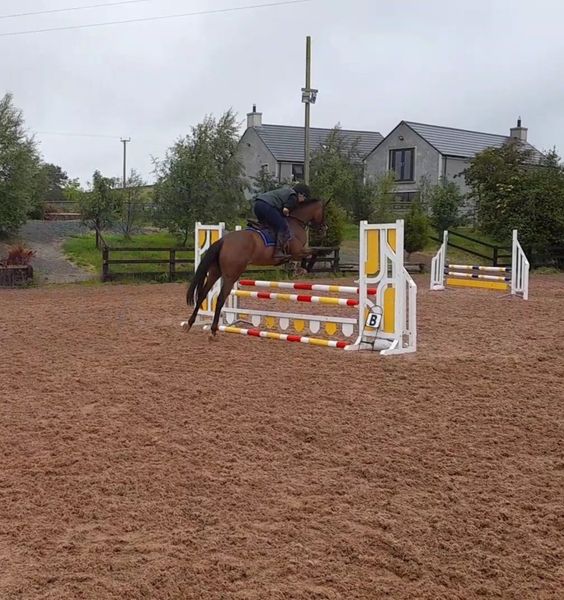 sadlers wells 1 All Sections Ads For Sale in Ireland DoneDeal