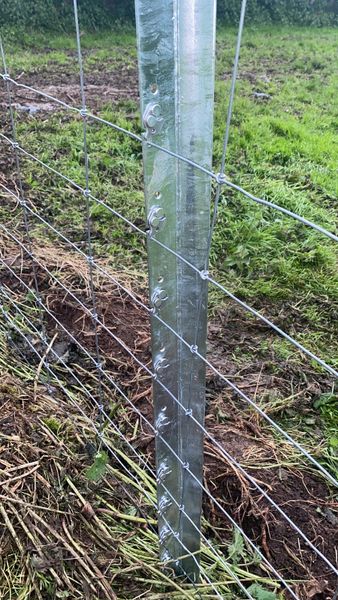 Clipex Steel fencing posts