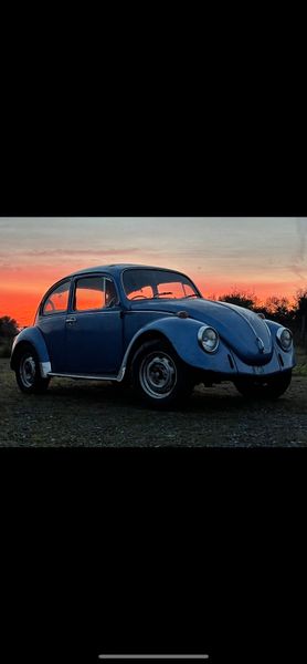 1972 vw beetle