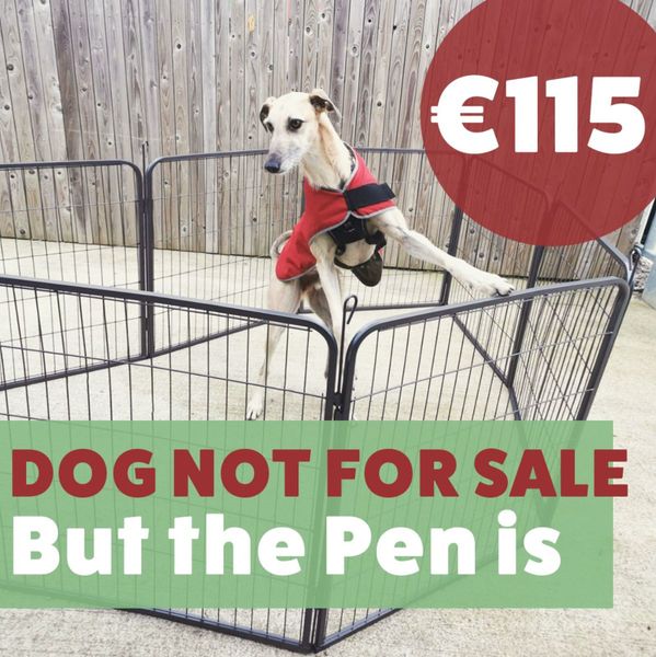 8 sided dog outlet pen