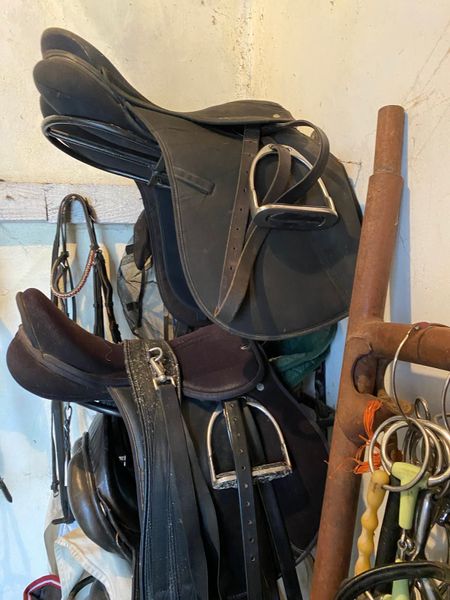 SADDLES, BRIDLES, RUGS, ACCESSORIES