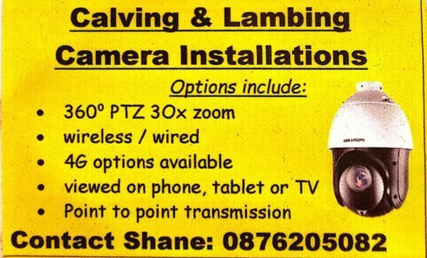 Calving Cameras, Lambing, Foaling, CCTV