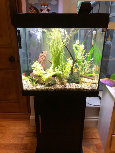 Fish tank - 125L Juwel with stand and accessories