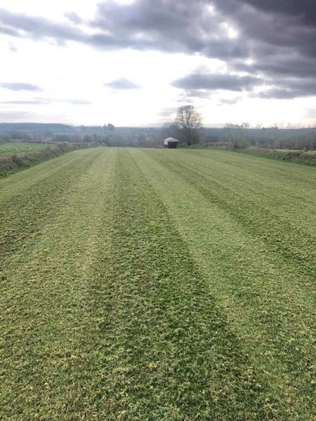 Rakeman 3M Grass Harrow with Apv KS40 seeder 230310237
